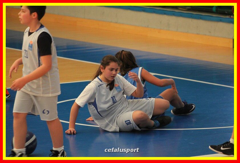 170317 basket 225_tn.jpg